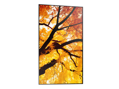 Sharp MultiSync M322 Digital signage flat panel 81.3 cm (32") LCD 550 cd/m² Full HD Black