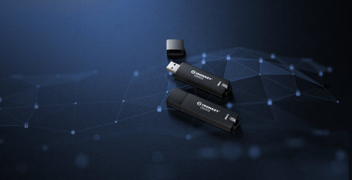 Kingston Technology IronKey 128GB D500S FIPS 140-3 Lvl 3 AES-256