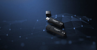 Kingston Technology IronKey 256GB D500S FIPS 140-3 Lvl 3 AES-256
