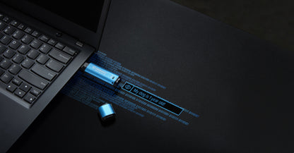 Kingston Technology IronKey 256GB Vault Privacy 50 AES-256 Encrypted, FIPS 197