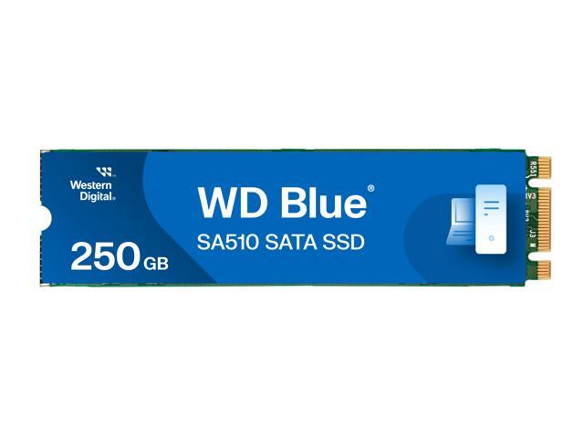 Western Digital 250GB WD Blue SA510 SATA SSD  Internal M.2 2280 Solid State Drive - WDS250G3B0B-00AXS0