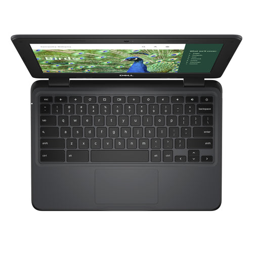 DELL Chromebook 3120 Intel® N N100 29.5 cm (11.6") HD 4 GB 64 GB Flash Wi-Fi 6 (802.11ax) ChromeOS Black