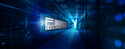 Kingston Technology 480G DC2000B PCIe 4.0 M.2 2280 Enterprise SSD