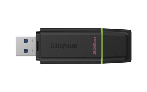 Kingston Technology DataTraveler 256GB Portable USB 3.2 Gen 1 Exodia Black/Green