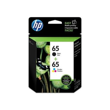 HP 65 2-pack Black/Tri-color Original Ink Cartridges  ~120 pages  T0A36AN#140
