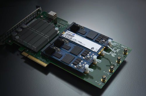 Kingston Technology 960G DC2000B PCIe 4.0 M.2 2280 Enterprise SSD
