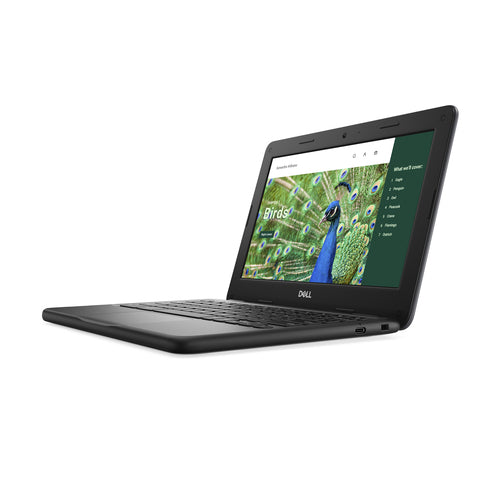 DELL Chromebook 3120 Intel® N N100 29.5 cm (11.6") HD 4 GB 64 GB Flash Wi-Fi 6 (802.11ax) ChromeOS Black