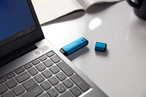 Kingston Technology IronKey 256GB Vault Privacy 50 AES-256 Encrypted, FIPS 197