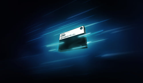 Kingston Technology 3.84TB DC3000ME U.2 PCIe 5.0 NVMe TCG Opal Enterprise SSD