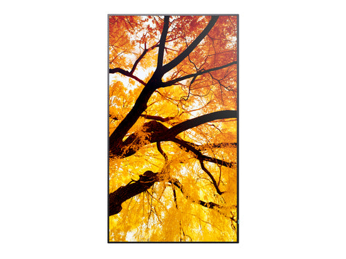 Sharp MultiSync M322 Digital signage flat panel 81.3 cm (32") LCD 550 cd/m² Full HD Black