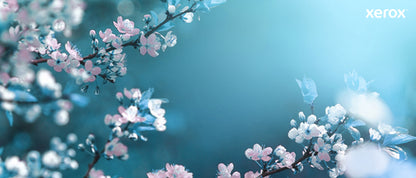 Xerox Genuine Phaser® 3330, WorkCentre® 3300 Series Black Extra High capacity Toner Cartridge (15000 Pages) - 106R03624