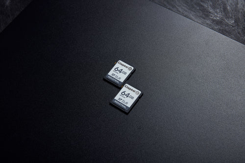 Kingston Technology 64G SDXC Industrial pSLC