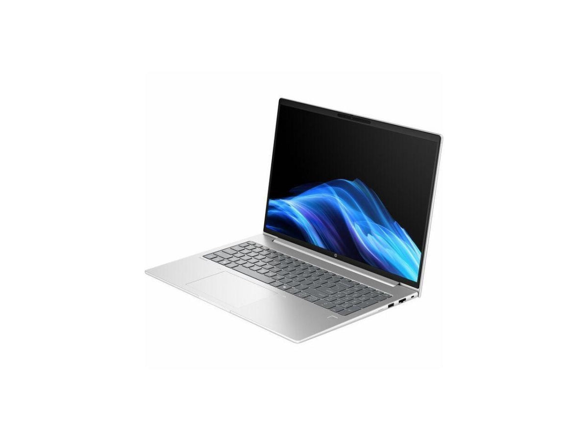 BY2K8AT-ABA 16 in. ProBook 4 G1ah WUXGA AMD Ryzen 5 220 16GB & 512GB SSD English Keyboard Notebook, Pike Silver