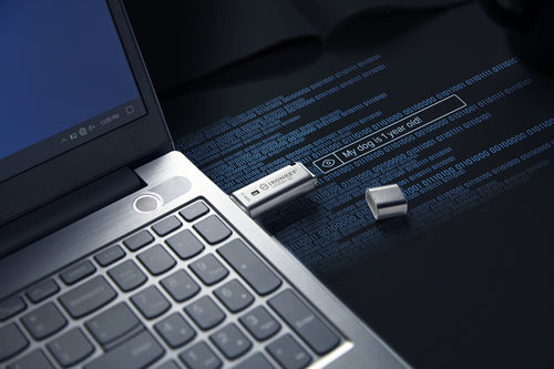 Kingston Technology IronKey 128GB IKLP50 AES USB, w/256bit Encryption