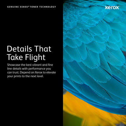 Xerox Genuine Phaser™ 3320 Black High capacity Toner Cartridge (11000 Pages) - 106R02307