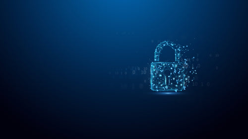 Kingston Technology IronKey 16GB D500S FIPS 140-3 Lvl 3 AES-256