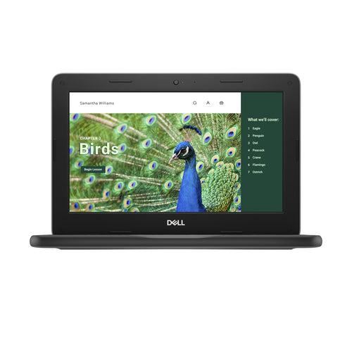 DELL Chromebook 3120 Intel® N N100 29.5 cm (11.6") HD 4 GB 64 GB Flash Wi-Fi 6 (802.11ax) ChromeOS Black