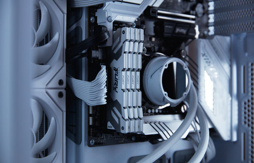 Kingston Technology FURY 24GB 8800MT/s DDR5 CL42 CUDIMM Renegade White