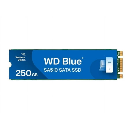 Western Digital 250GB WD Blue SA510 SATA SSD  Internal M.2 2280 Solid State Drive - WDS250G3B0B-00AXS0