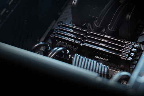 Kingston Technology FURY Beast 8GB 6000MT/s DDR5 CL36 DIMM Black EXPO