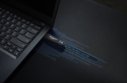 Kingston Technology IronKey 512GB D500S FIPS 140-3 Lvl 3 AES-256