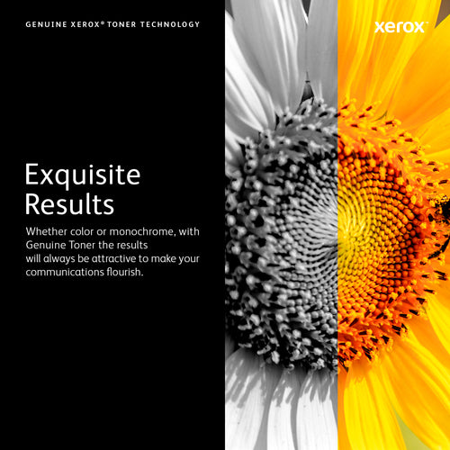 Xerox Drum Cartridge