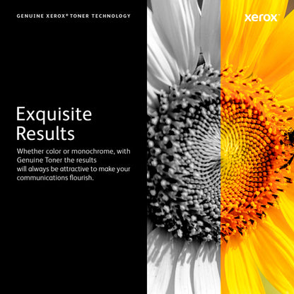 Xerox Drum Cartridge