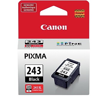 Canon PG-243 Printer - Ink Cartridges Pigment Black