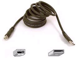 10FT USB A/B DEVICE CABLE A/B DSTP MOQ-20